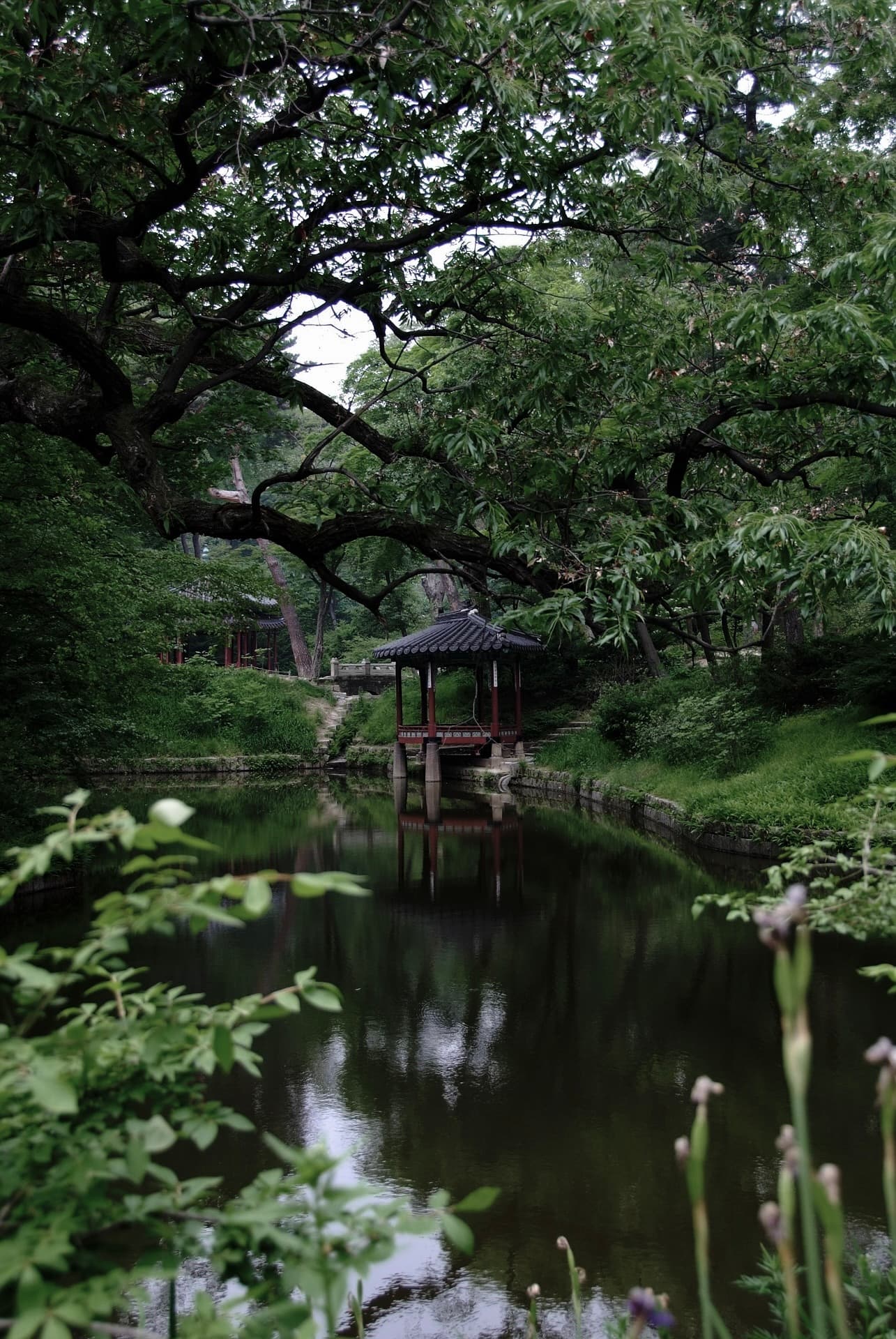 Garden in Korea